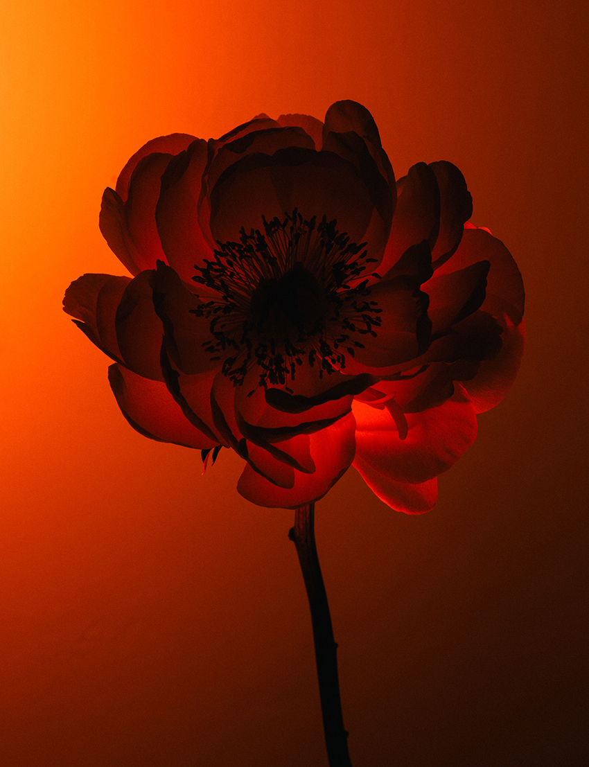 VFL.RU - ��� �����������