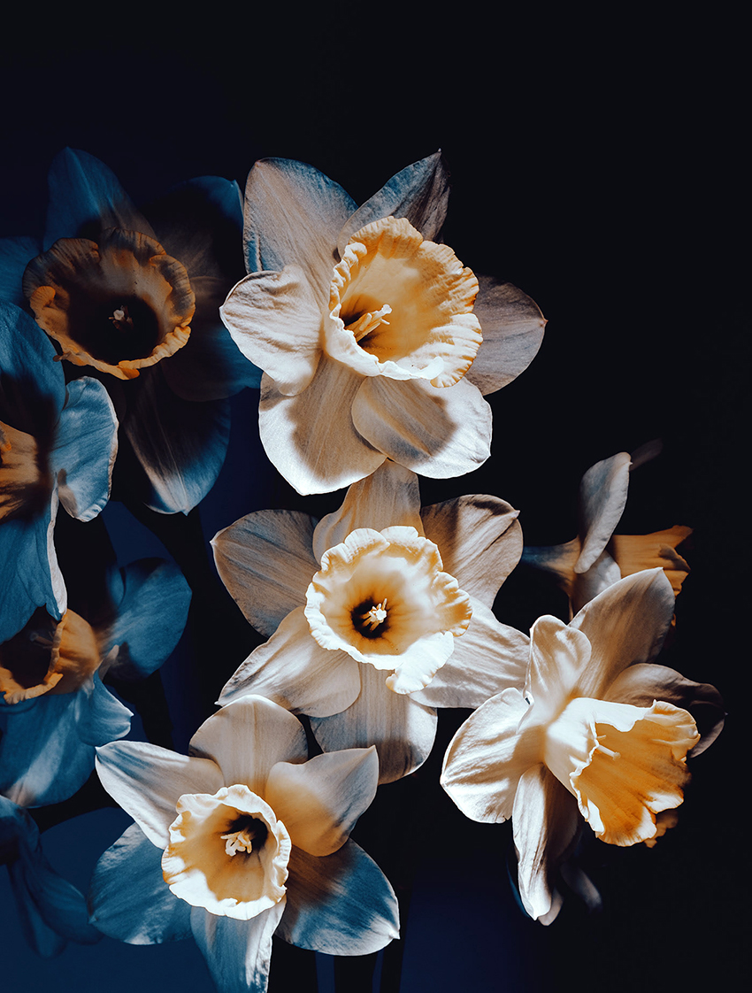 VFL.RU - ��� �����������