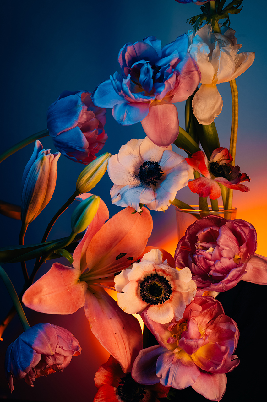 VFL.RU - ��� �����������