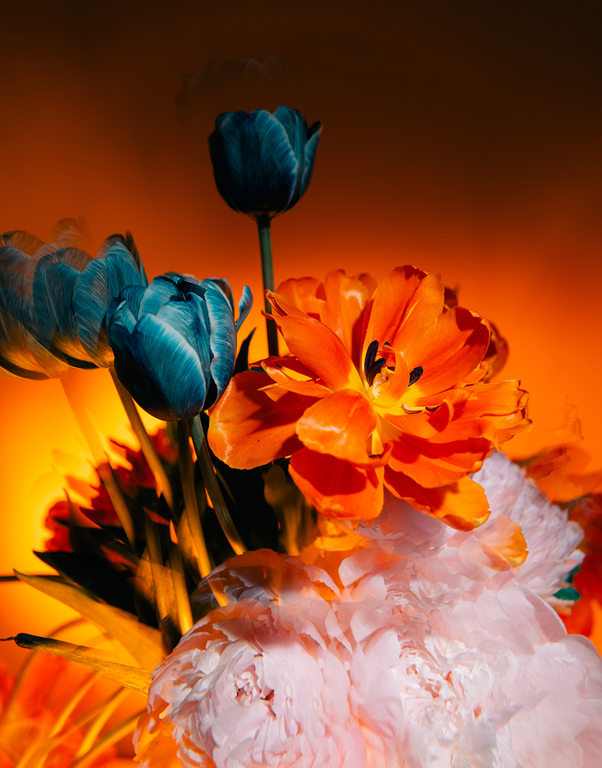 VFL.RU - ��� �����������