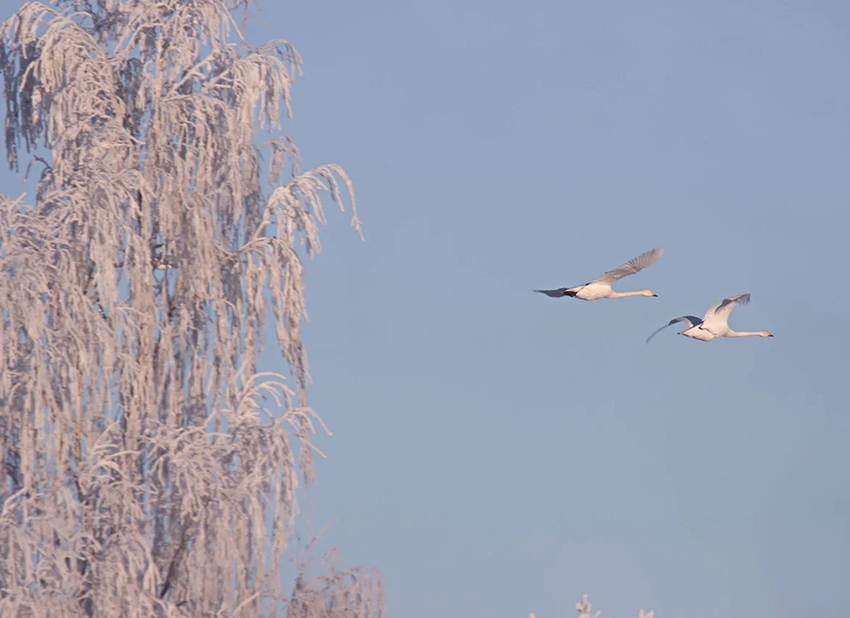 VFL.RU - ��� �����������