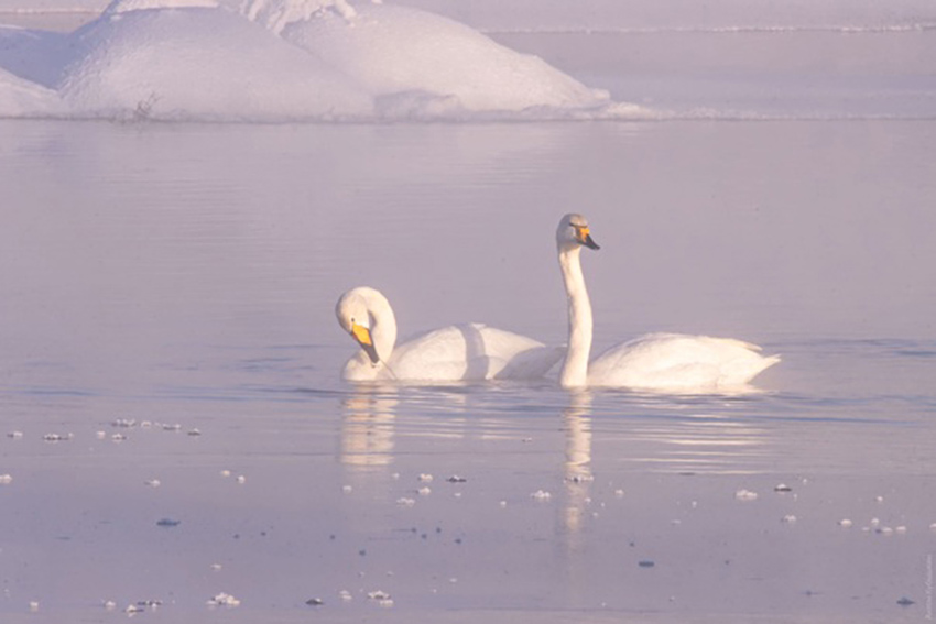 VFL.RU - ��� �����������