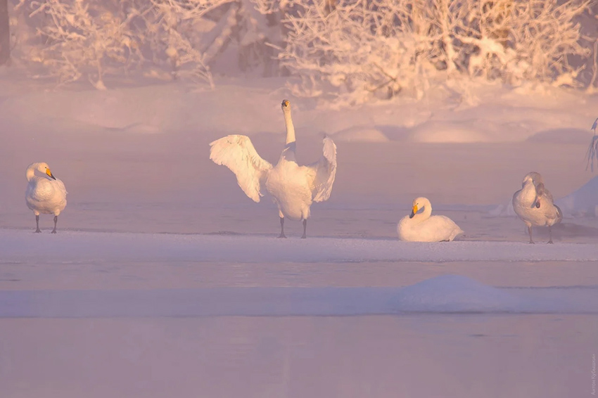 VFL.RU - ��� �����������