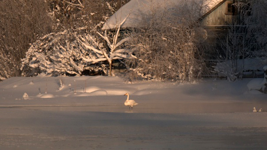 VFL.RU - ��� �����������