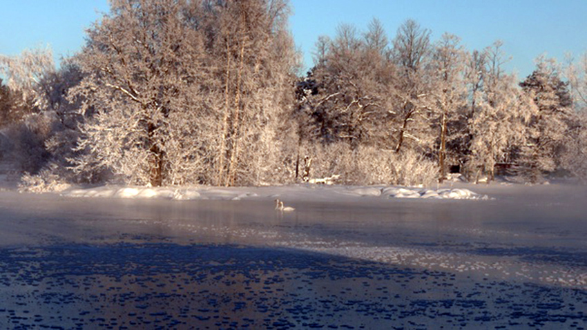 VFL.RU - ��� �����������