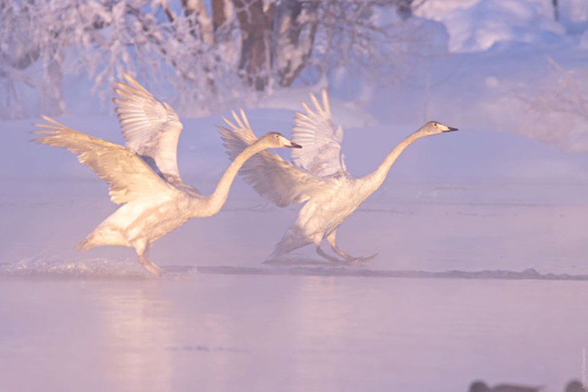 VFL.RU - ��� �����������