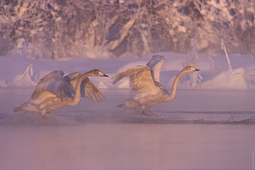 VFL.RU - ��� �����������