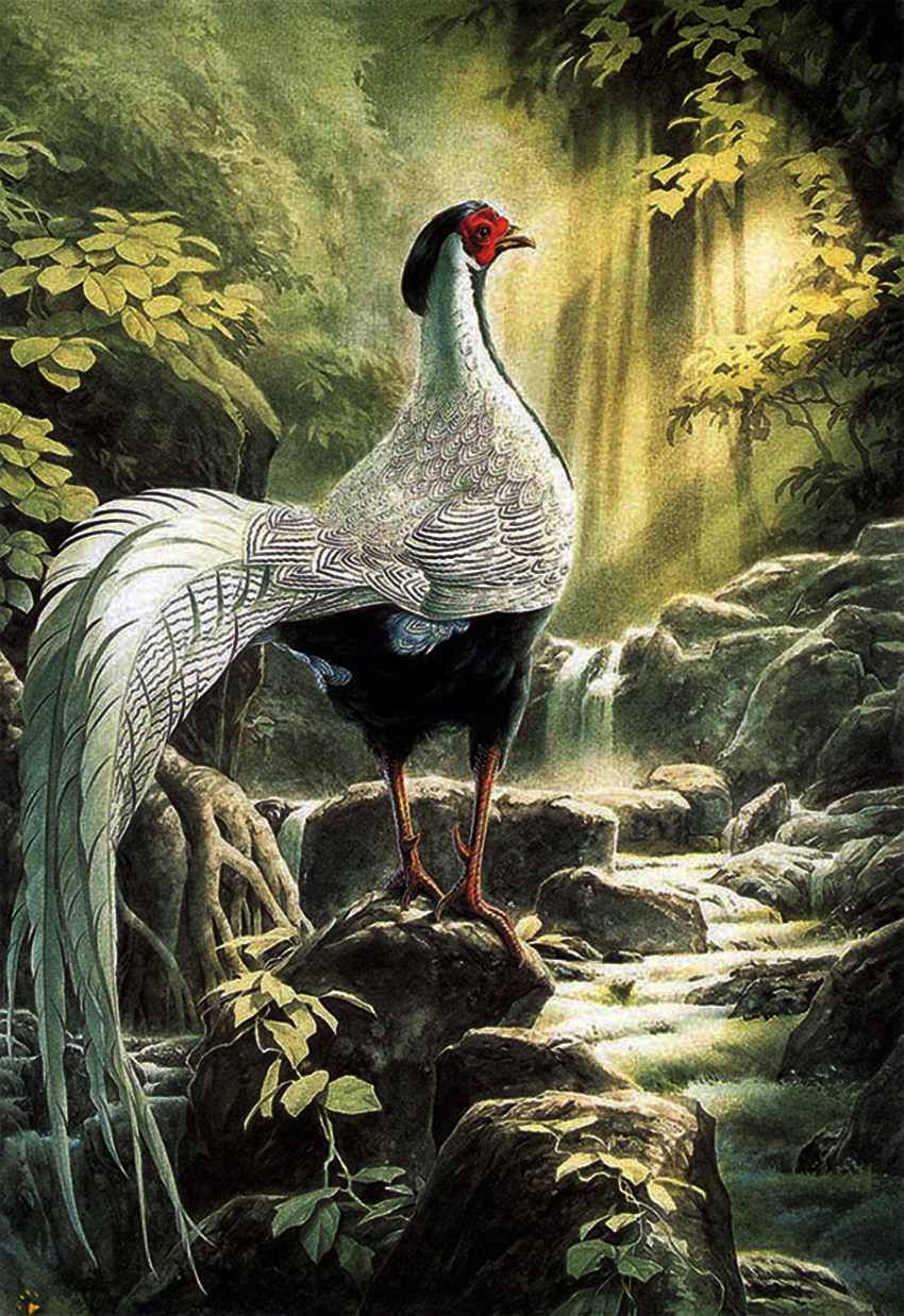 1 Zeng Xiao Lian