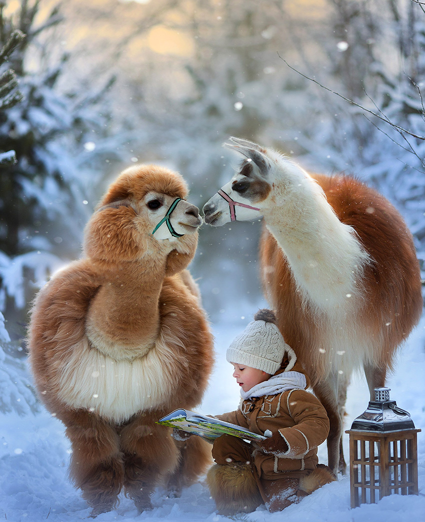 VFL.RU - ��� �����������