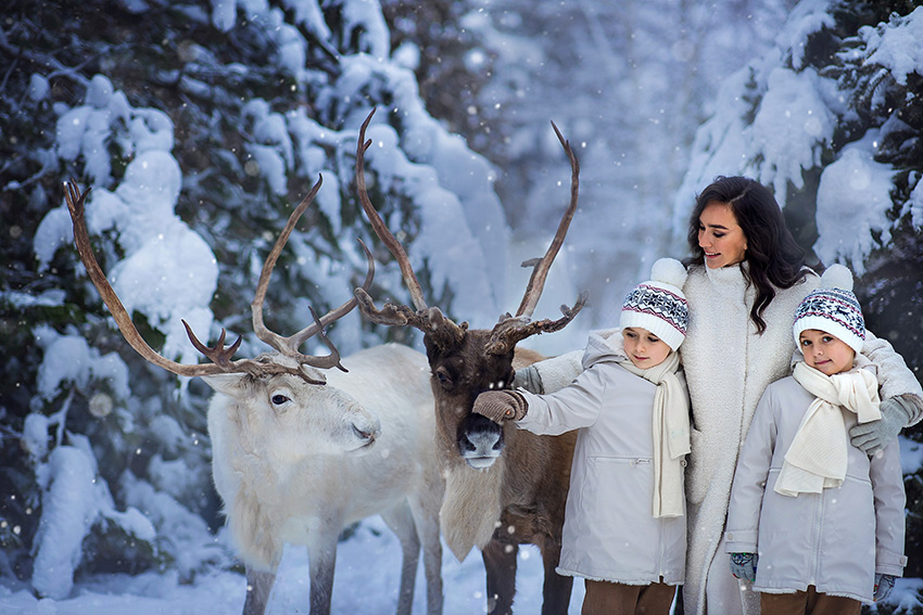 VFL.RU - ��� �����������