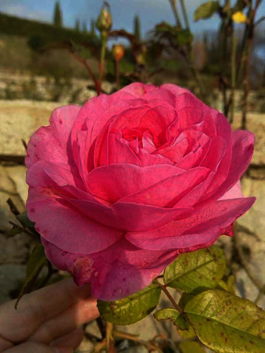 VFL.RU - ��� �����������