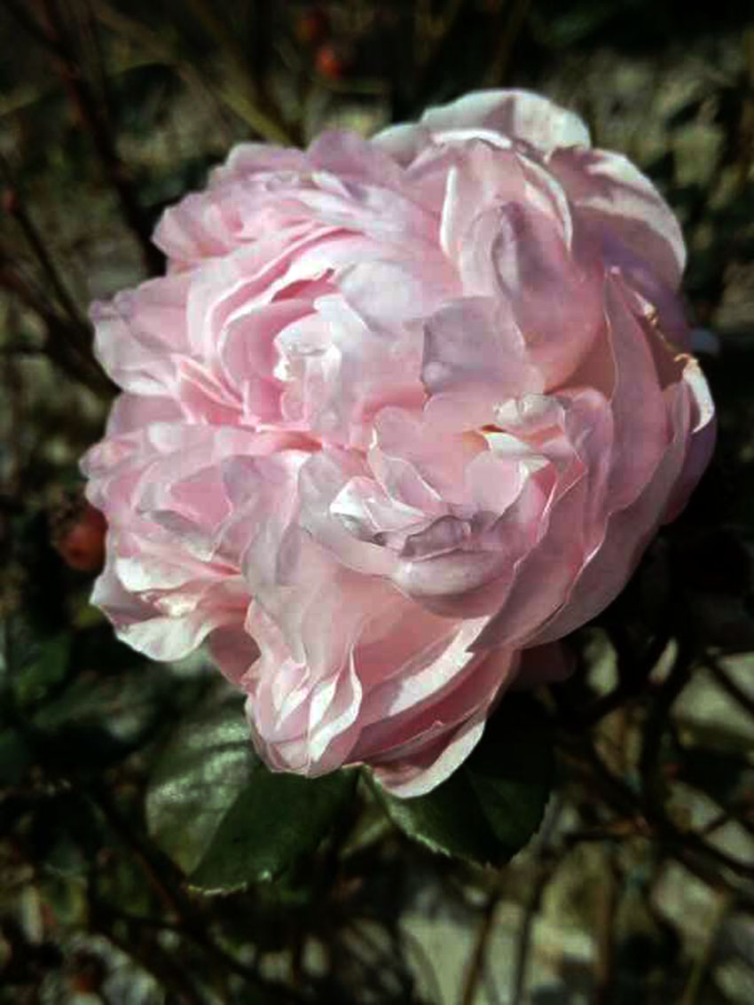 VFL.RU - ��� �����������