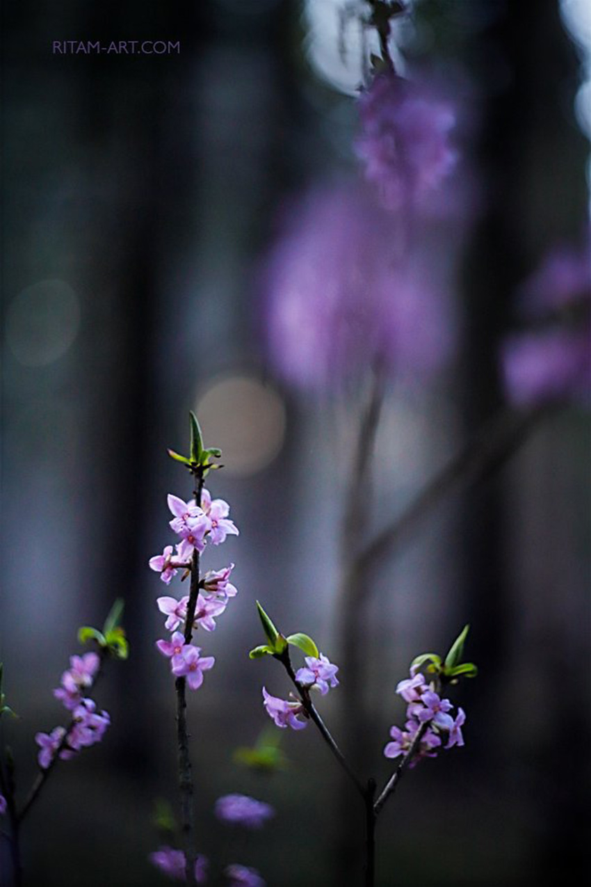 VFL.RU - ��� �����������