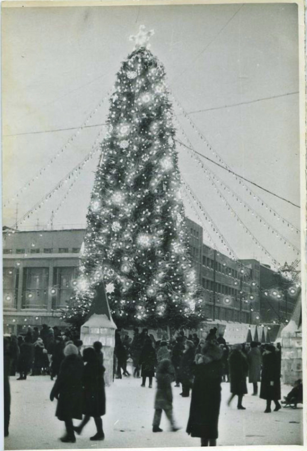 поляков