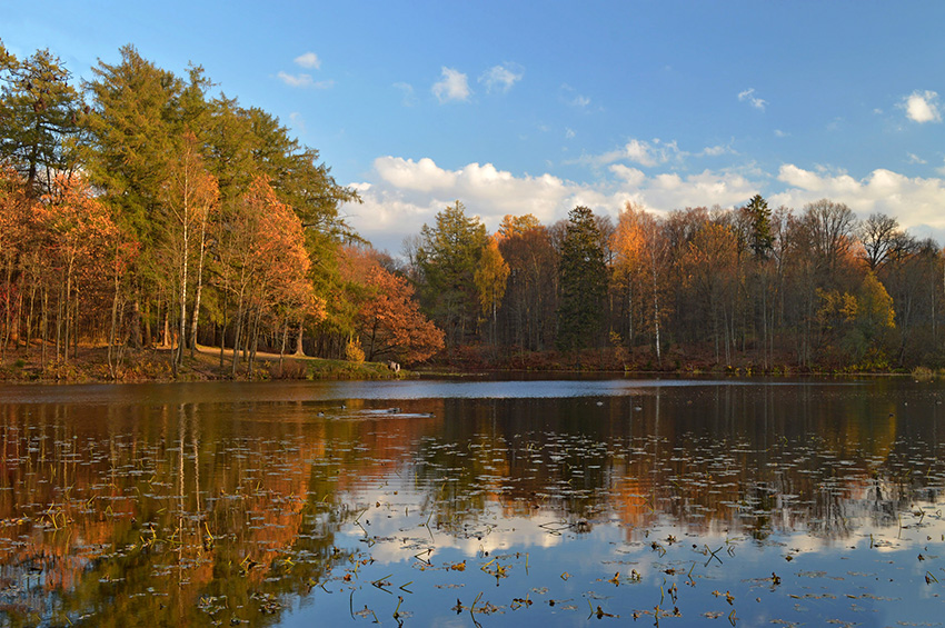 VFL.RU - ��� �����������