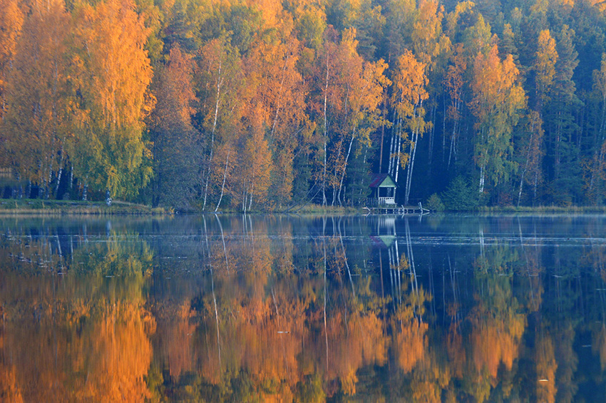 VFL.RU - ��� �����������