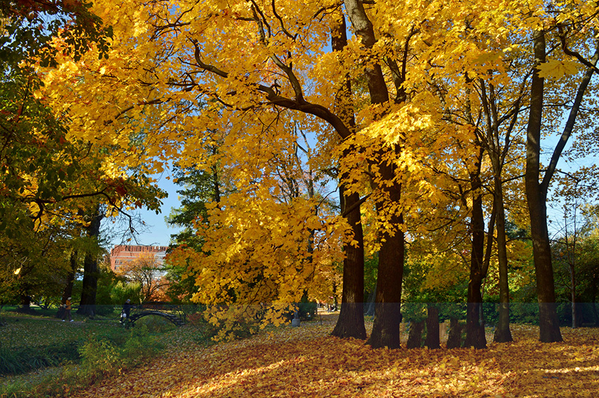 VFL.RU - ��� �����������