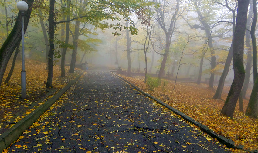 VFL.RU - ��� �����������