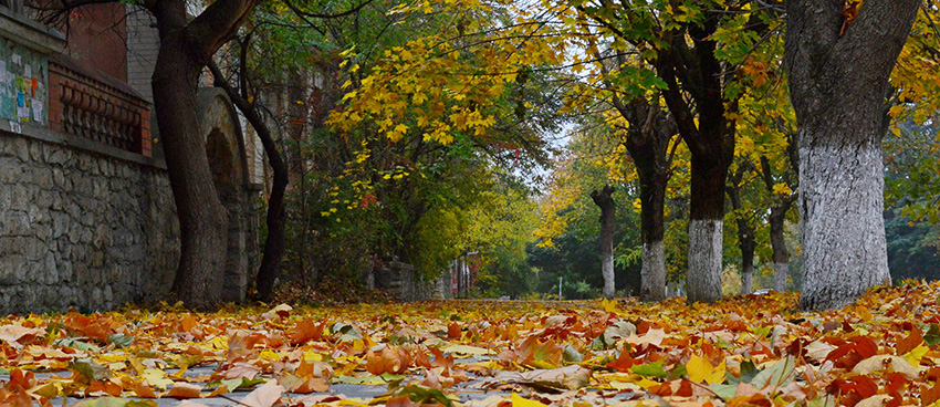 VFL.RU - ��� �����������