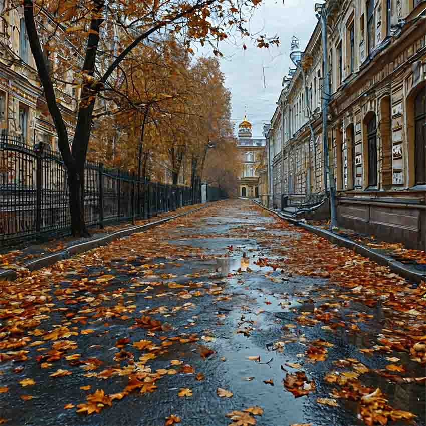 VFL.RU -  