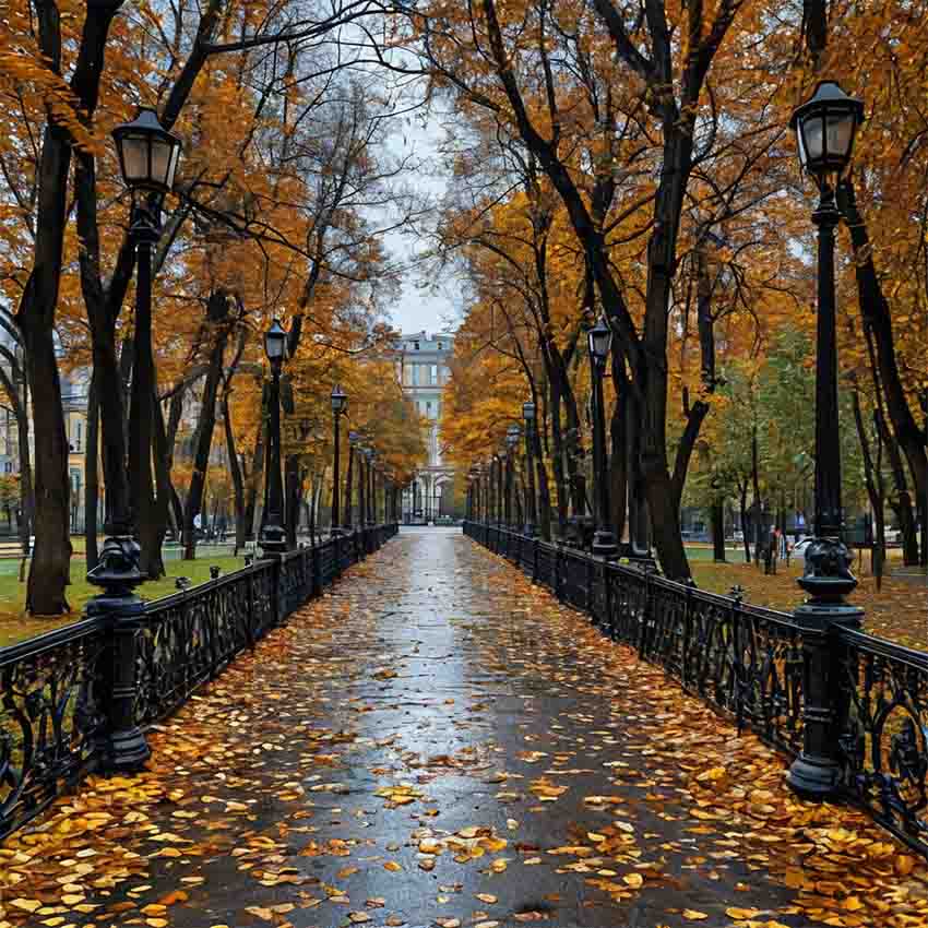 VFL.RU -  