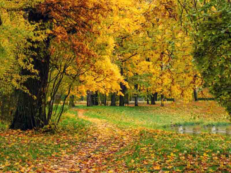 VFL.RU - ��� �����������