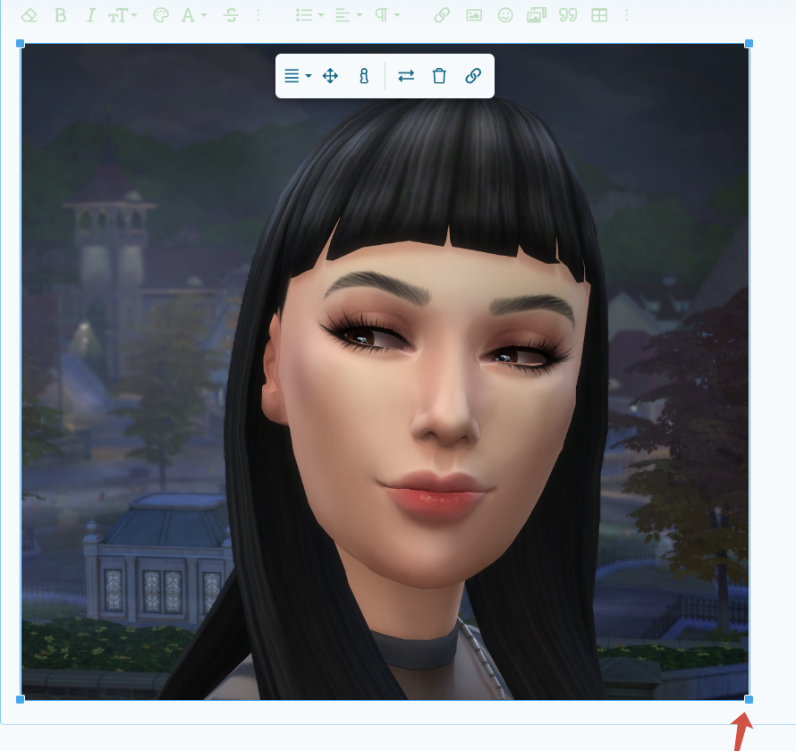 39555211.png