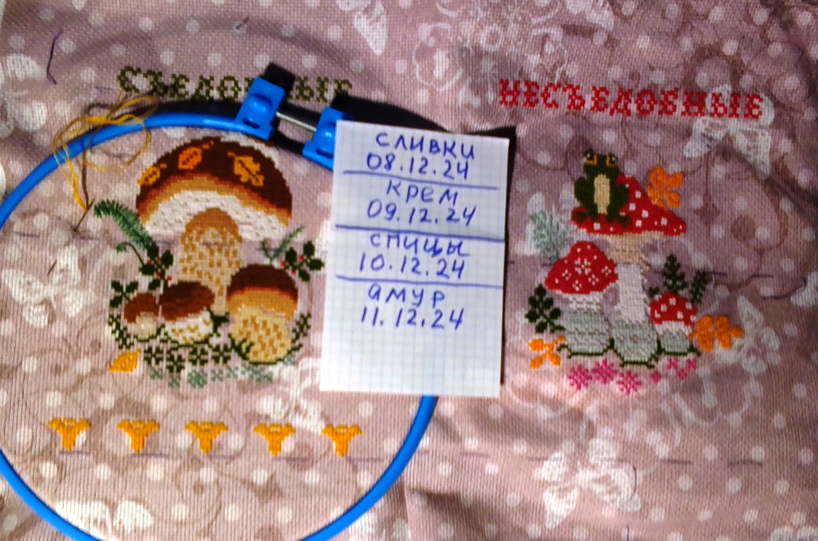 11 амур2