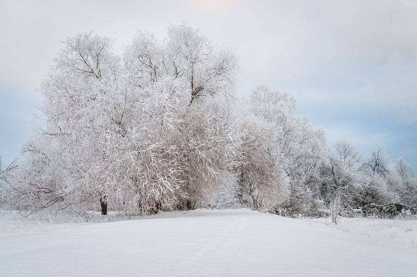 VFL.RU - ��� �����������