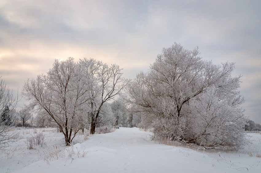 VFL.RU - ��� �����������