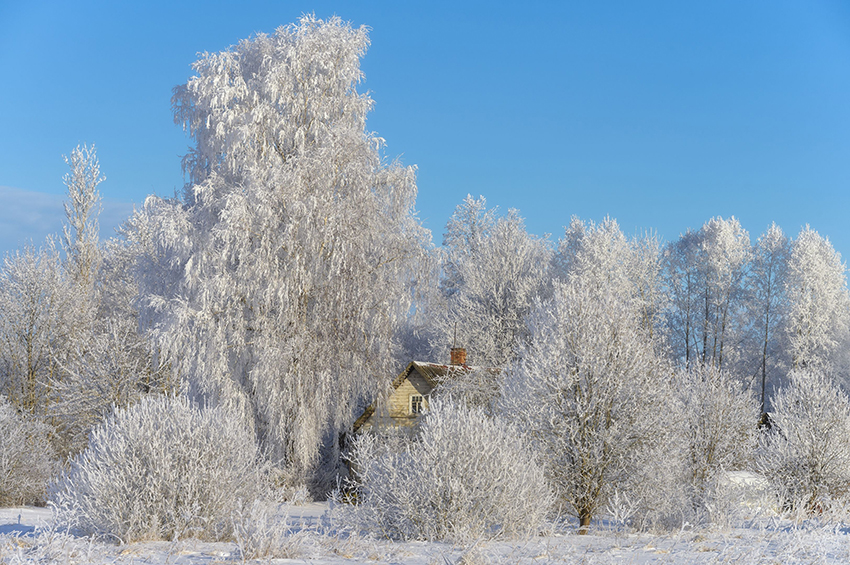 VFL.RU - ��� �����������