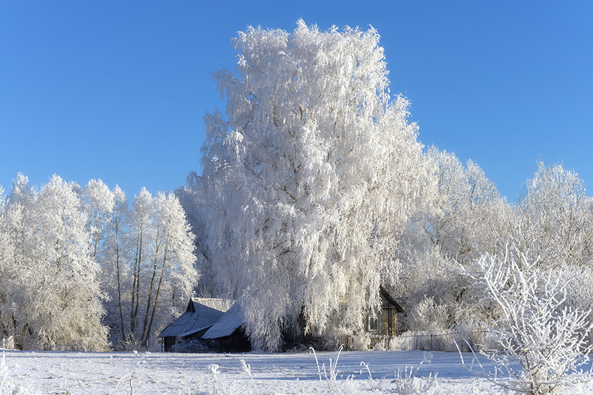 VFL.RU - ��� �����������