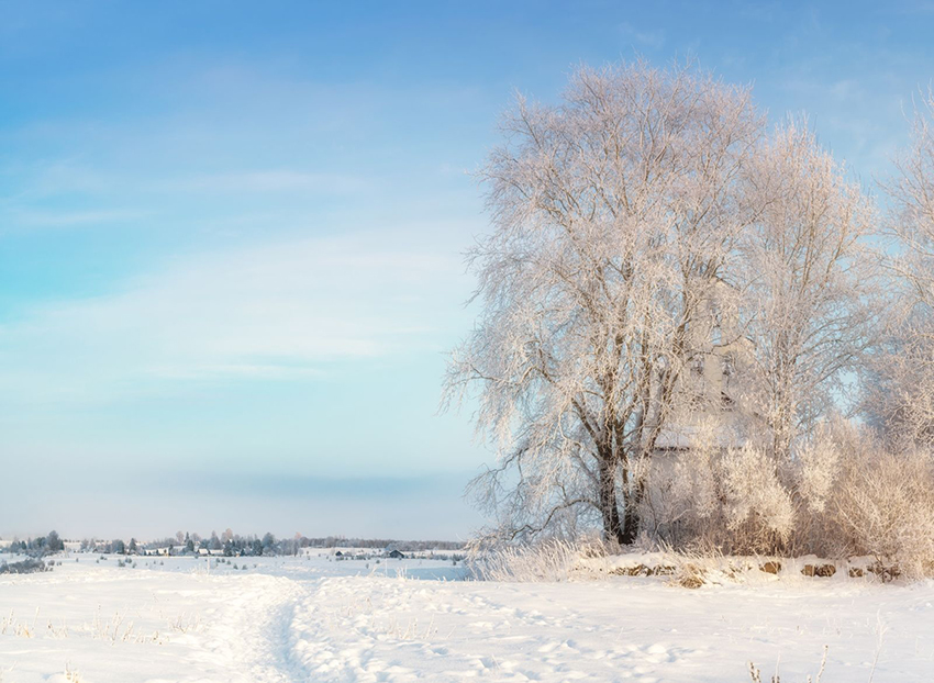 VFL.RU - ��� �����������