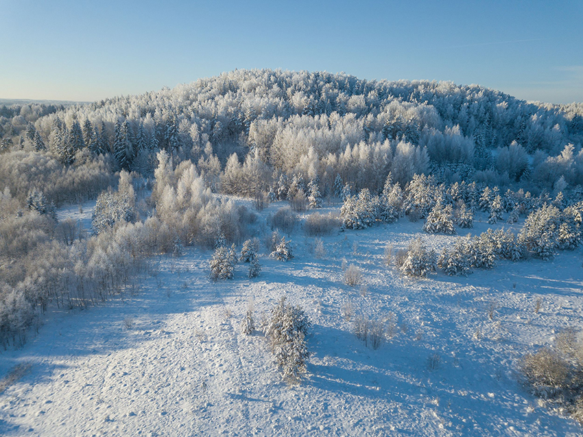 VFL.RU - ��� �����������