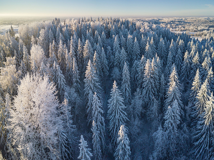 VFL.RU - ��� �����������