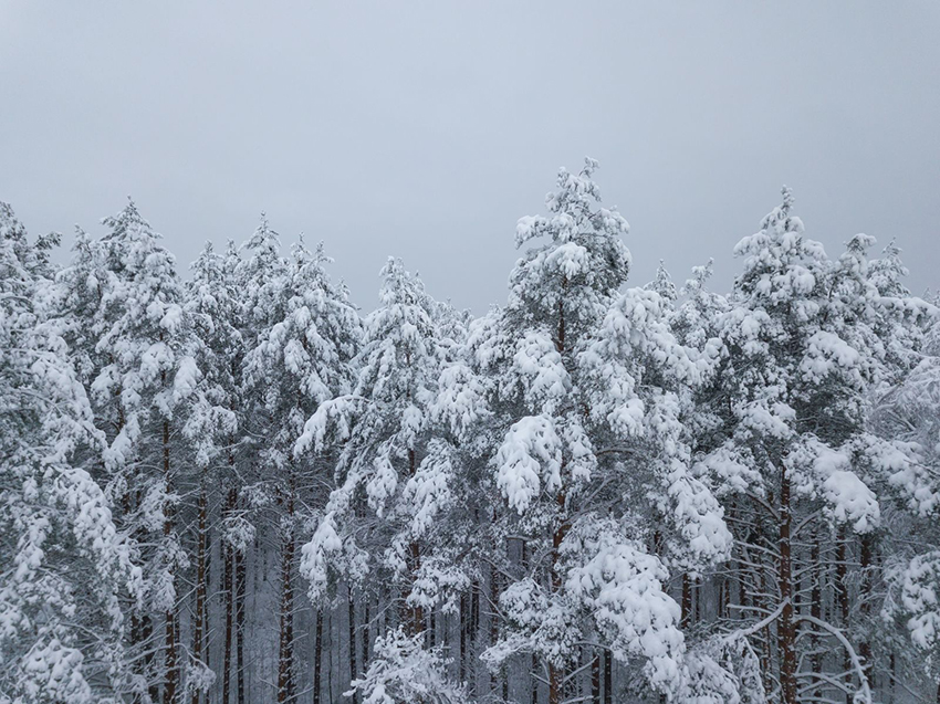 VFL.RU - ��� �����������