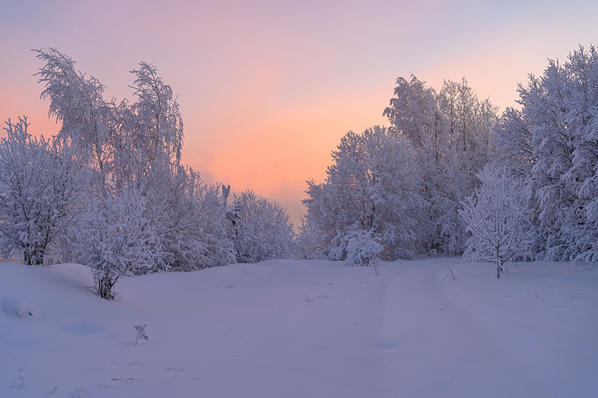 VFL.RU - ��� �����������