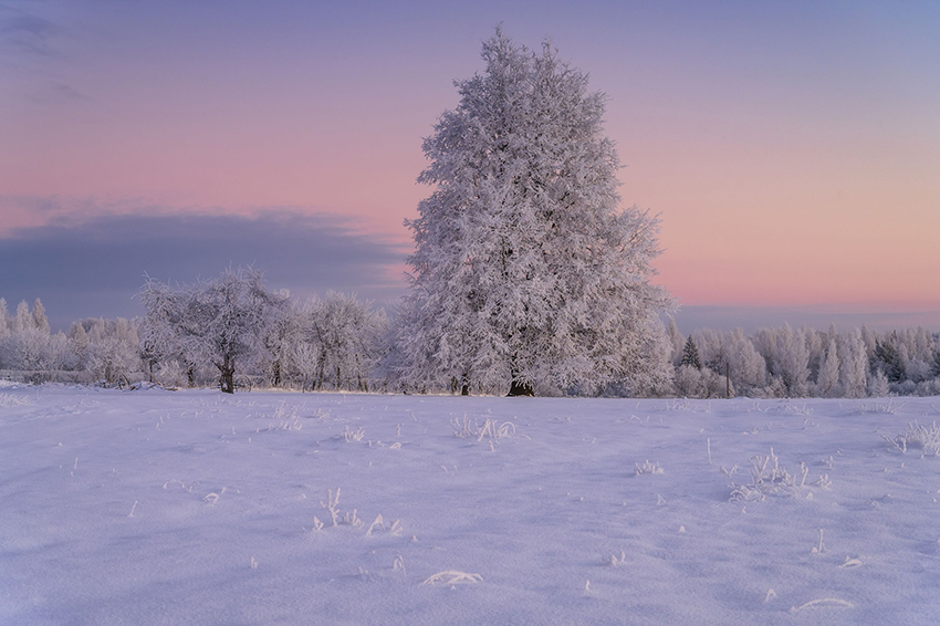 VFL.RU - ��� �����������