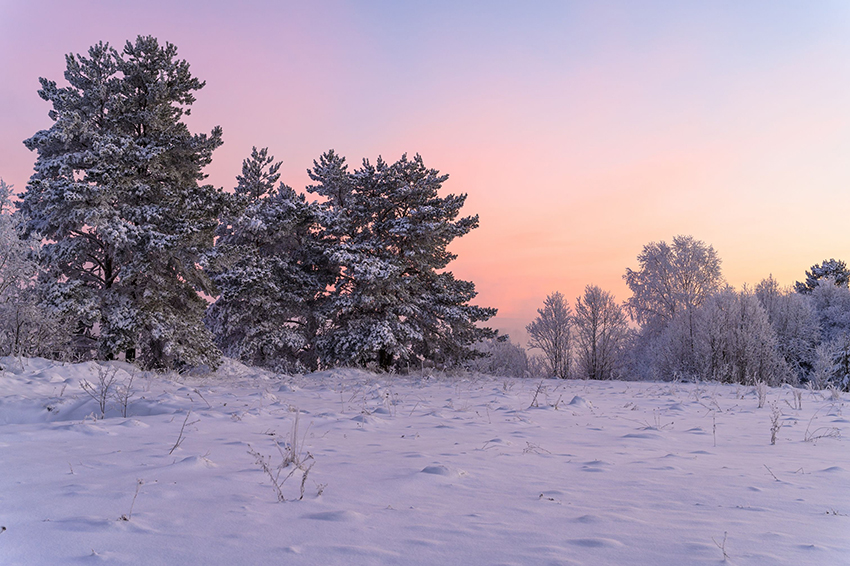 VFL.RU - ��� �����������