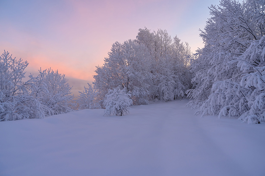 VFL.RU - ��� �����������
