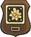 39657259.png