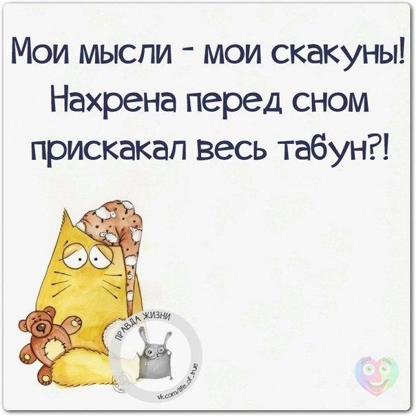 VFL.RU -  