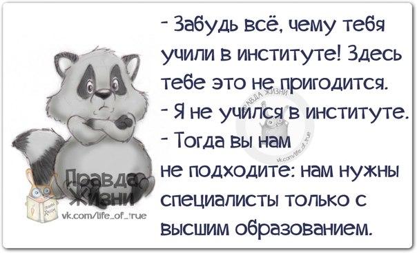 VFL.RU -  