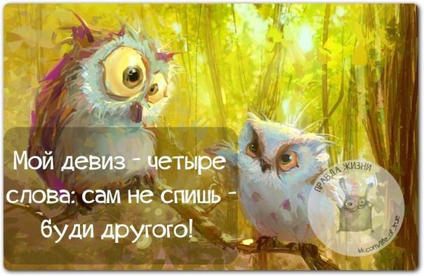 VFL.RU -  