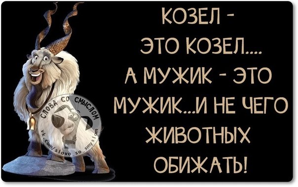 VFL.RU -  