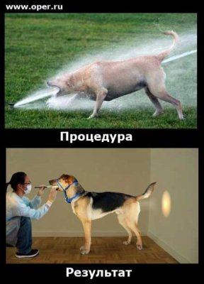 radionetplus ru zabavn19