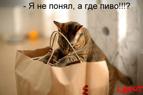 radionetplus ru zabavn24