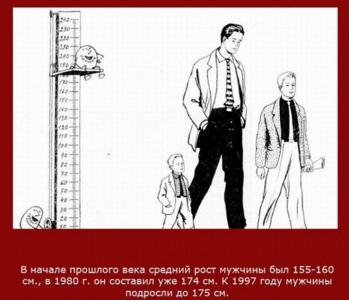 VFL.RU -  