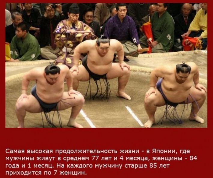 VFL.RU -  