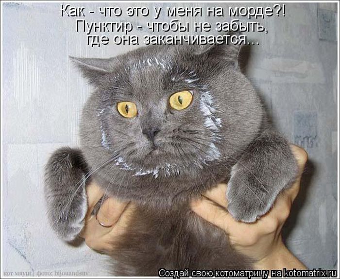 VFL.RU -  